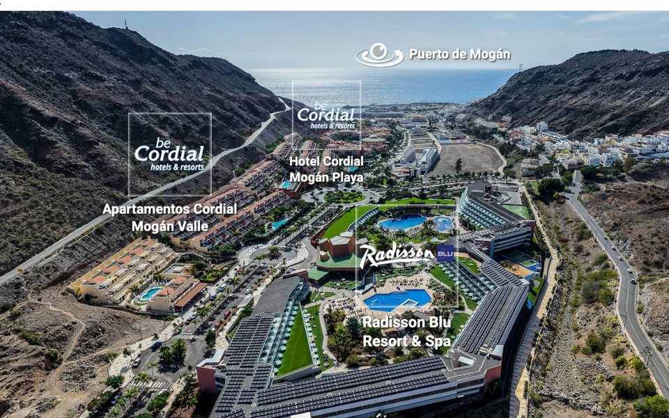 VistaLINX view of Puerto de Mogán and hotels in the southwest landscape